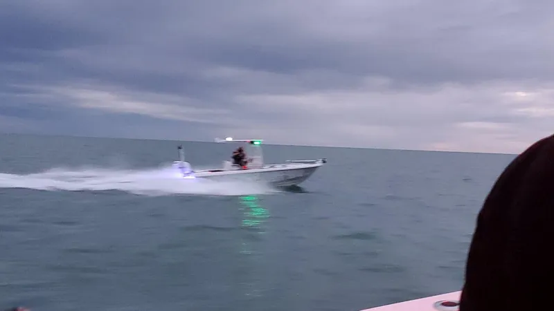 Slide: The Image of Everglades 243 CC 2006 - 57