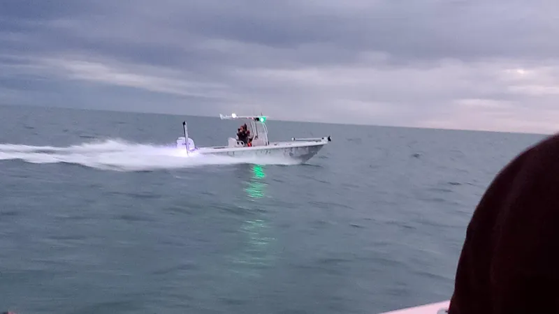 Slide: The Image of Everglades 243 CC 2006 - 58