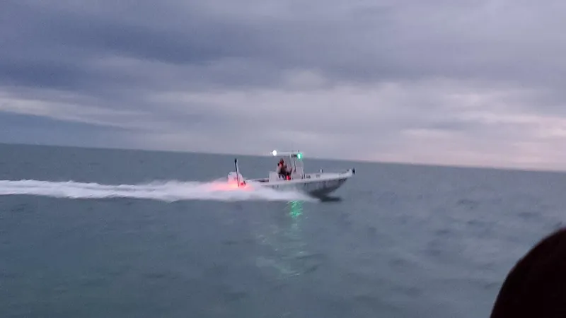 Slide: The Image of Everglades 243 CC 2006 - 59