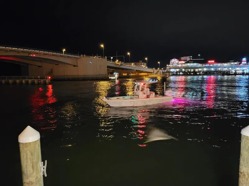 Slide: The Image of Everglades 243 CC 2006 - 65