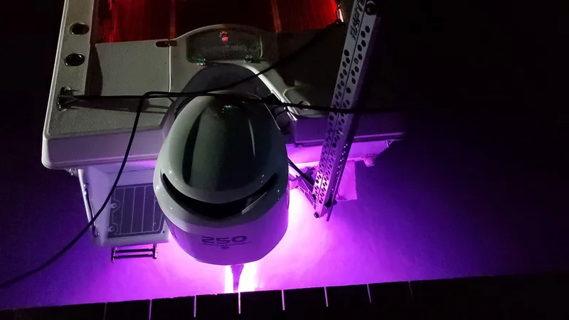 Slide: The Image of Everglades 243 CC 2006 - 71