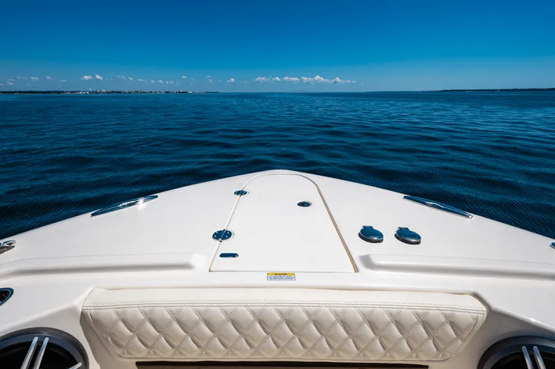 Slide: The Image of Grady-White Freedom 415 2026 - 84