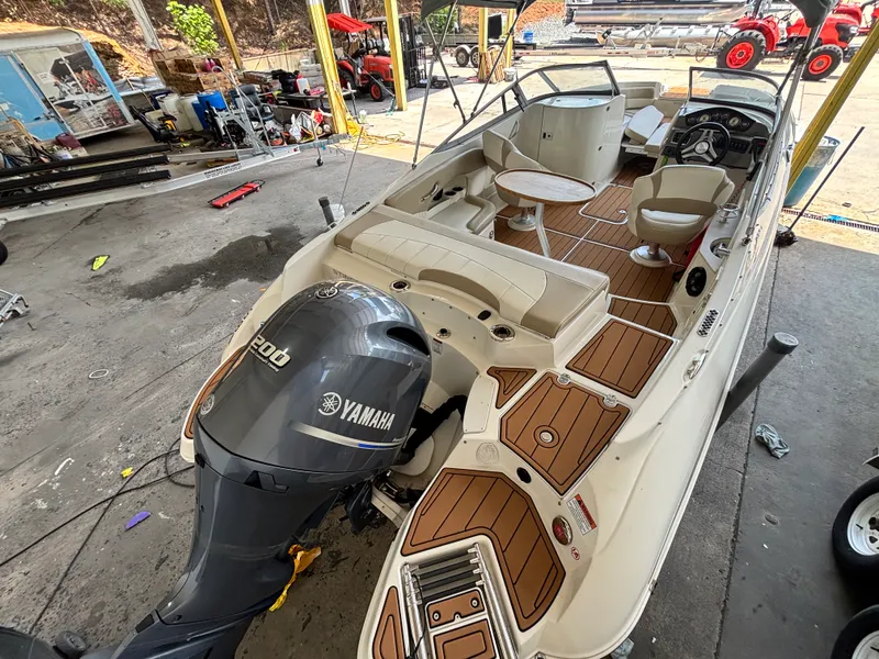 Slide: The Image of Stingray 234LR 2017 - 3