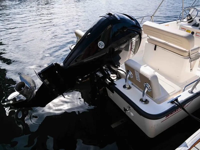Slide: The Image of Boston Whaler 170 Montauk 2025 - 13
