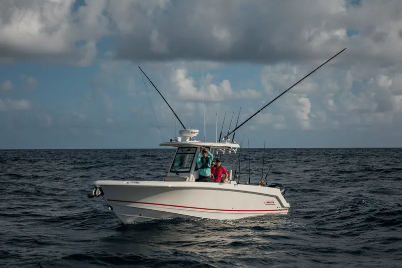 Slide: The Image of Boston Whaler 280 Outrage 2026 - 66