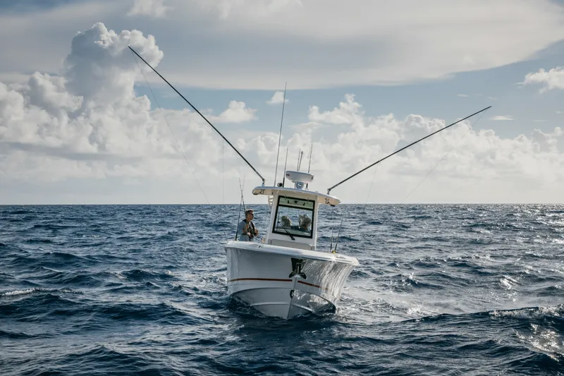 Slide: The Image of Boston Whaler 280 Outrage 2026 - 71