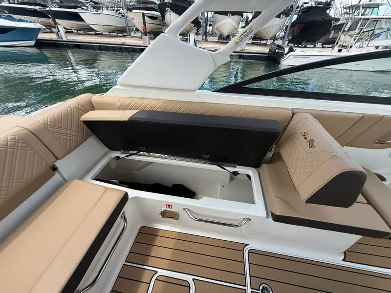 Slide: The Image of Sea Ray SDX 250 Outboard 2026 - 23