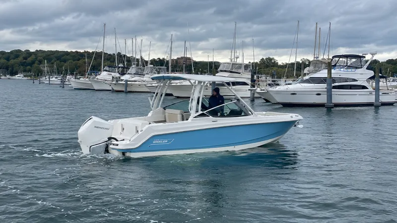 The Image of Boston Whaler 240 Vantage 2026 - 0