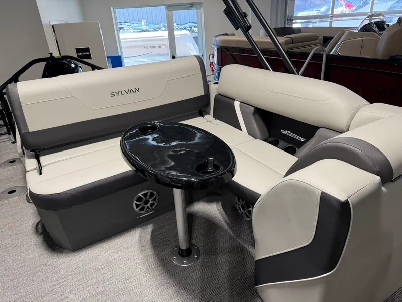 Slide: The Image of Sylvan MIRAGE X3 DLZ BAR 2026 - 19