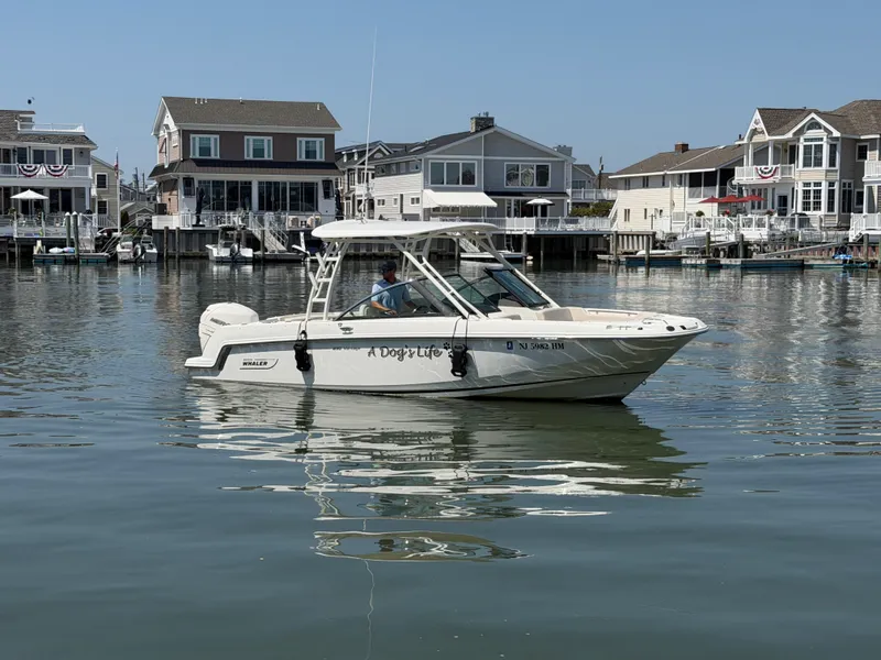 Slide: The Image of Boston Whaler 230 VANTAGE 2018 - 31