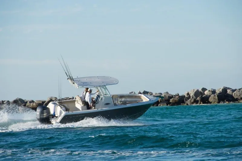 Slide: The Image of Sailfish 241 CC 2024 - 20