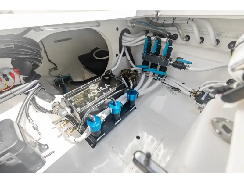 Slide: The Image of Aquila 47 Molokai 2026 - 29