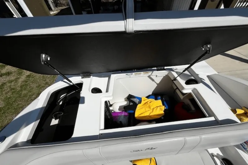 Slide: The Image of Sea Ray 190 SPX OUTBOARD 2021 - 25