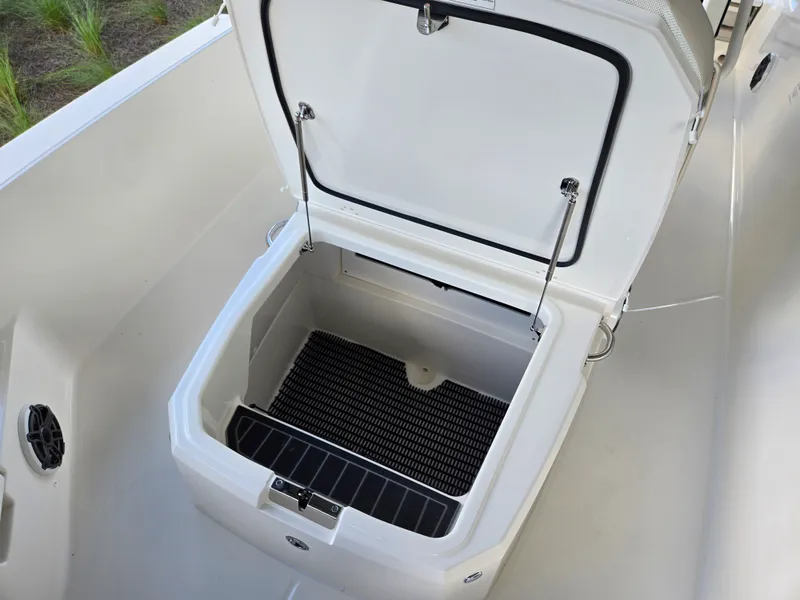 Slide: The Image of Boston Whaler 250 Dauntless 2026 - 14