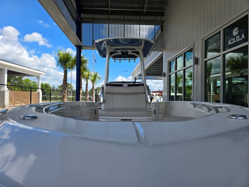 Slide: The Image of Boston Whaler 250 Dauntless 2026 - 19