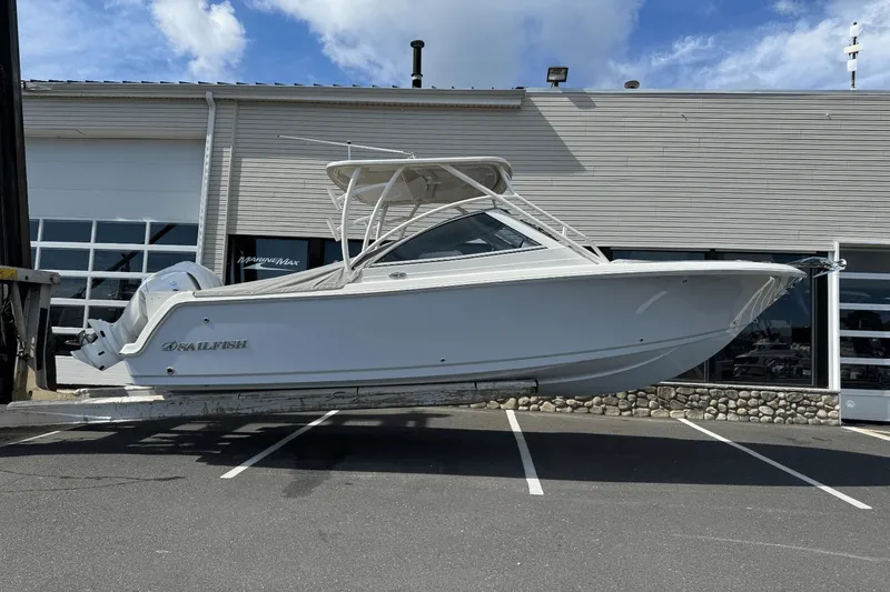 The Image of Sailfish 245 DC 2026 - 0