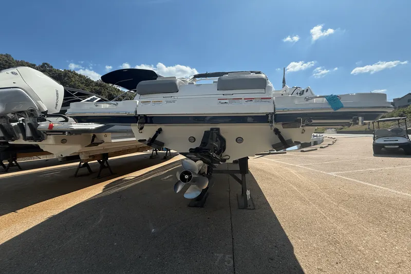 Slide: The Image of Sea Ray 290 SD 2024 - 23