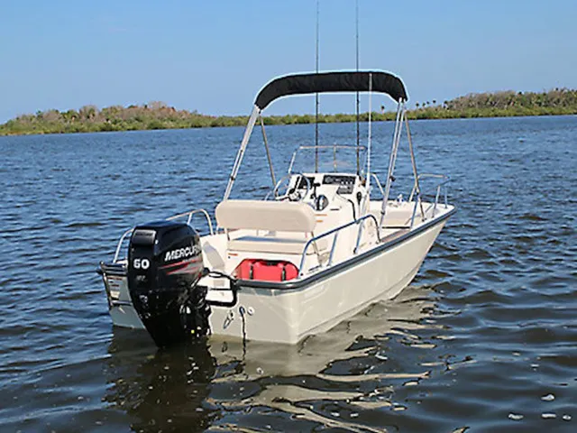 The Image of Boston Whaler 150 Montauk 2026 - 0