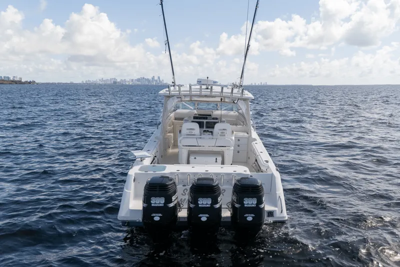 Slide: The Image of Everglades 350 LX 2008 - 12