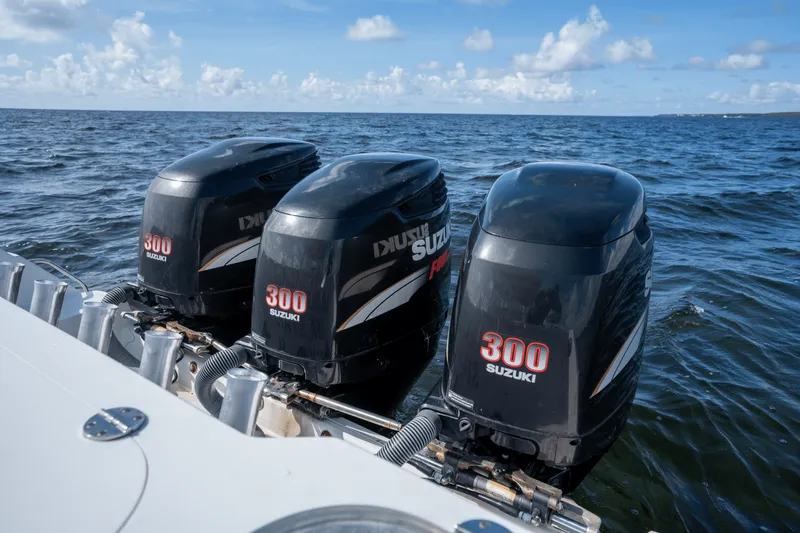 Slide: The Image of Everglades 350 LX 2008 - 19