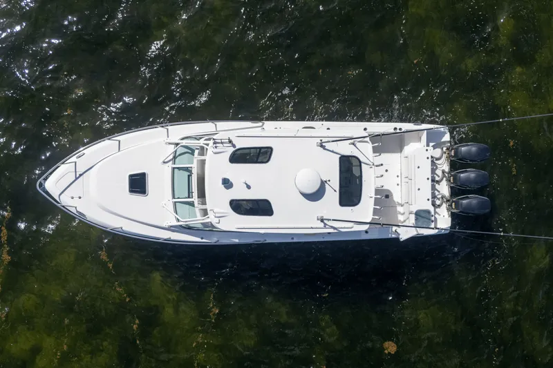 Slide: The Image of Everglades 350 LX 2008 - 7