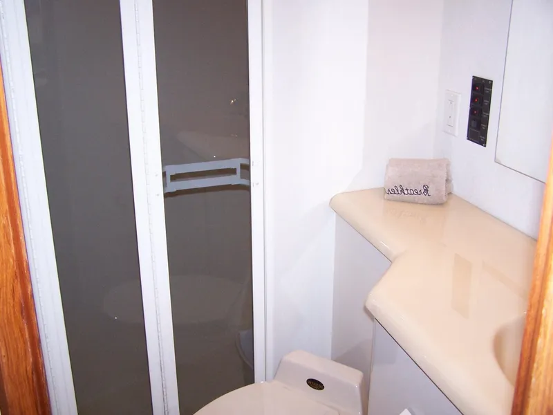 Slide: The Image of Forward shower  - 27