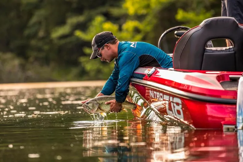 Slide: The Image of Manufacturer Provided Image - 50