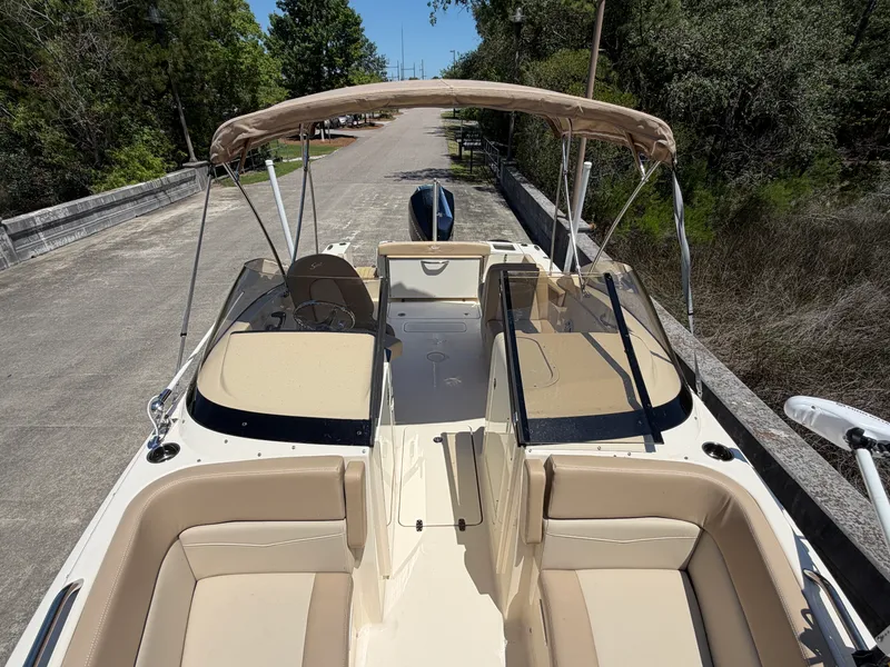 Slide: The Image of Scout 215 DORADO 2024 - 19