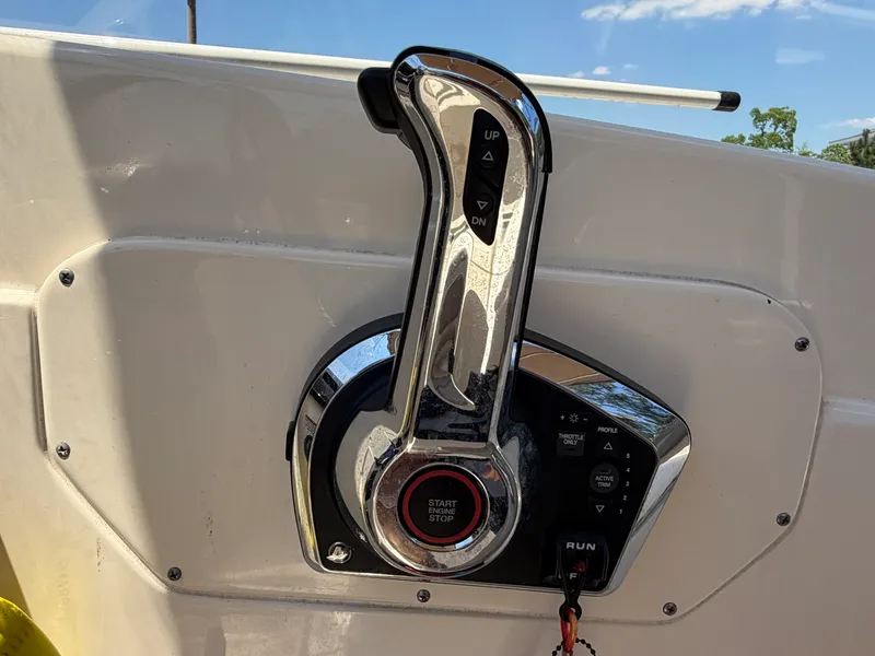 Slide: The Image of Scout 215 DORADO 2024 - 10