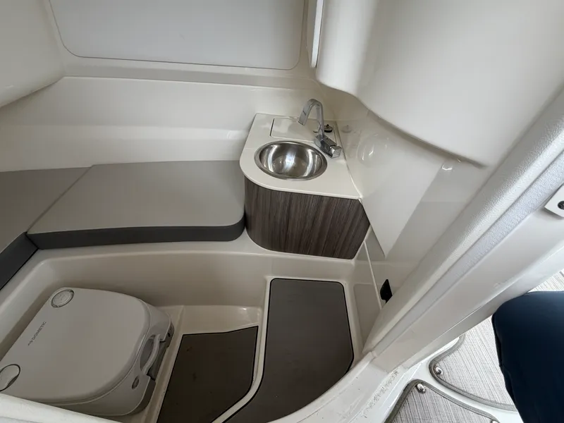 Slide: The Image of Sea Ray 250 SDX 2025 - 22