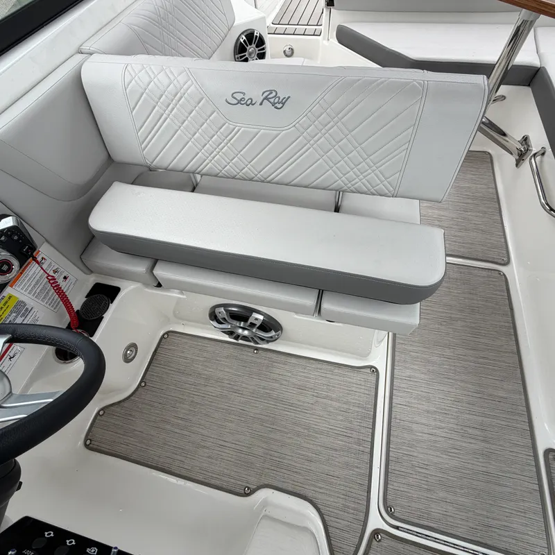 Slide: The Image of Sea Ray 250 SDX 2025 - 13