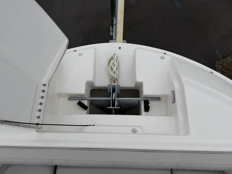 Slide: The Image of Sea Ray 250 SDX 2025 - 28