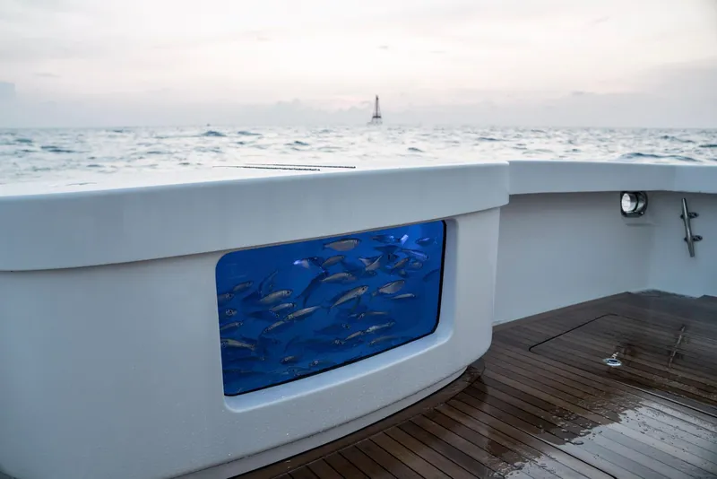 Slide: The Image of Live bait tank on the deck of a 2023 Bertram 61 Convertible yacht. - 14