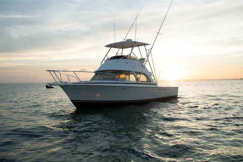 Slide: The Image of 2023 Bertram 35 Flybridge boat on calm water at sunset. - 21