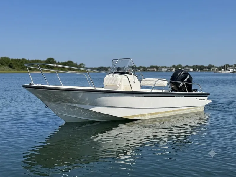 The Image of Boston Whaler 170 MONTAUK 2011 - 0
