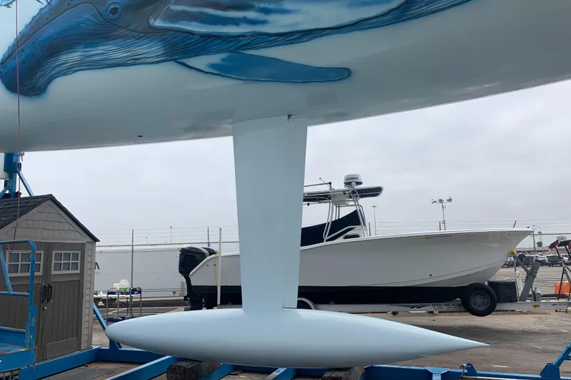 Slide: The Image of Custom 2000 Americas Cup Class 75 yacht with whale artwork on hull. - 10