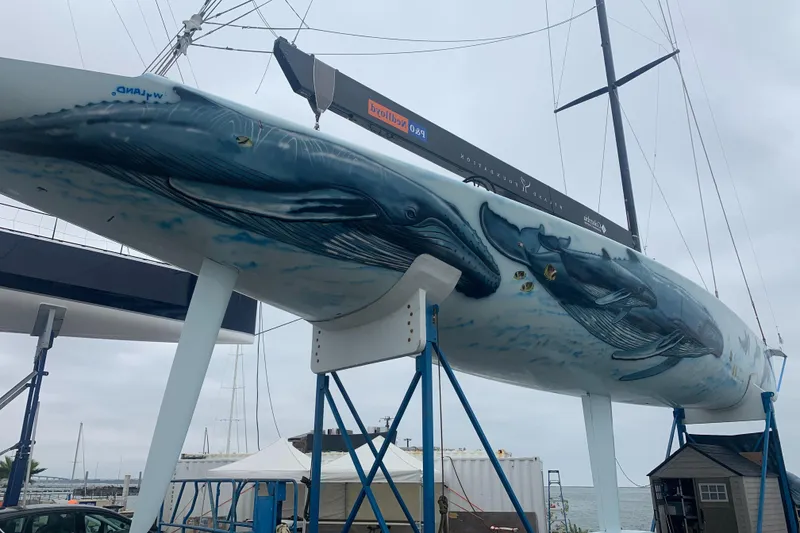 Slide: The Image of Custom 2000 Americas Cup Class 75 yacht with whale mural on hull. - 24