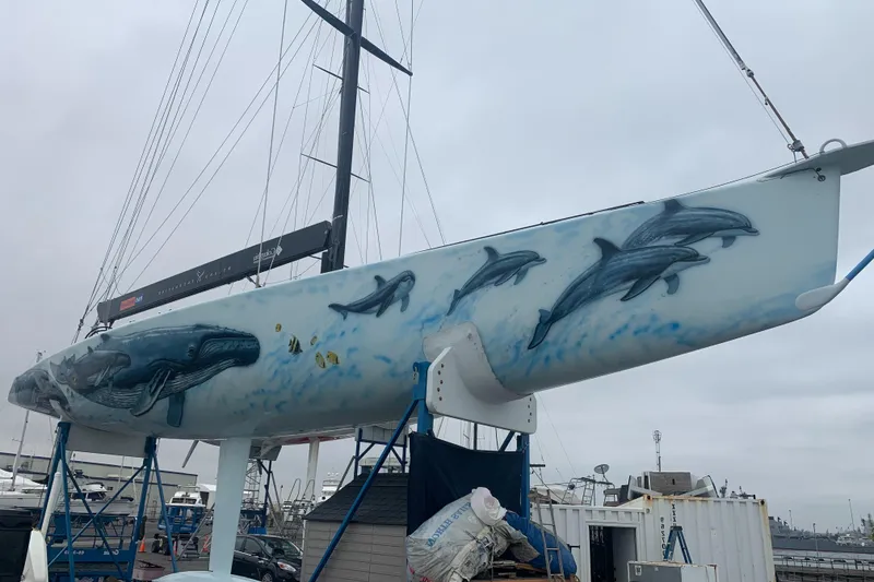 Slide: The Image of Custom 2000 Americas Cup Class 75 yacht with marine life artwork on hull. - 26
