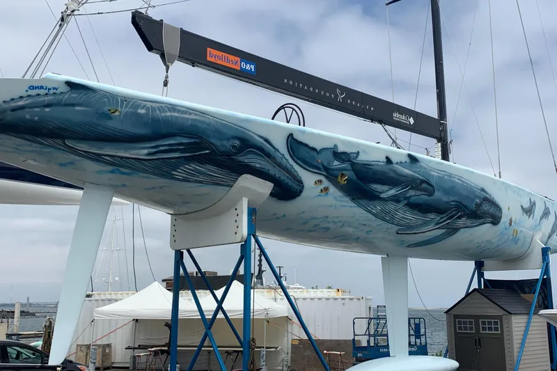 Slide: The Image of Custom 2000 Americas Cup Class 75 yacht with whale mural on hull. - 5
