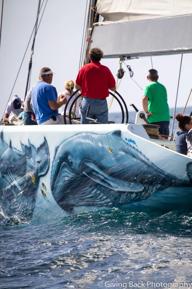 Slide: The Image of Sailing yacht with whale mural, Custom Americas Cup Class 75, 2000, on open water. - 9