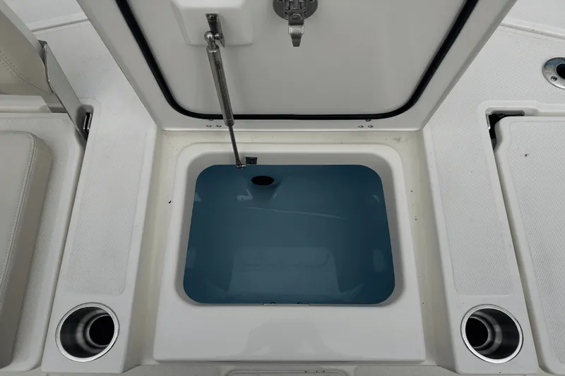 Slide: The Image of Boston Whaler 250 Dauntless 2026 - 12