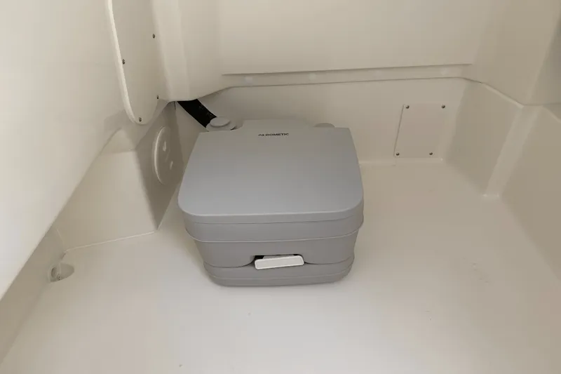 Slide: The Image of Boston Whaler 250 Dauntless 2026 - 25