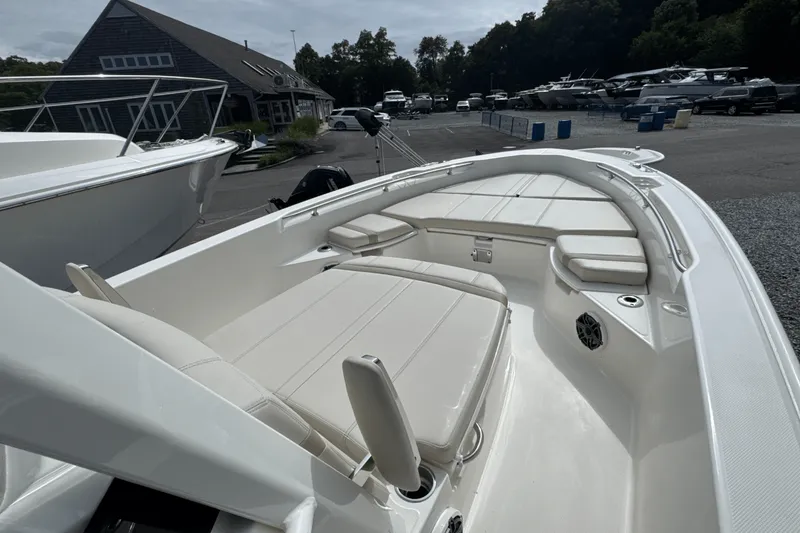 Slide: The Image of Boston Whaler 250 Dauntless 2026 - 26