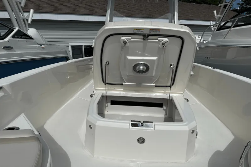 Slide: The Image of Boston Whaler 250 Dauntless 2026 - 31