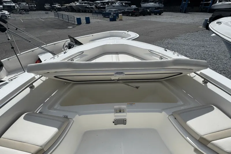 Slide: The Image of Boston Whaler 250 Dauntless 2026 - 32