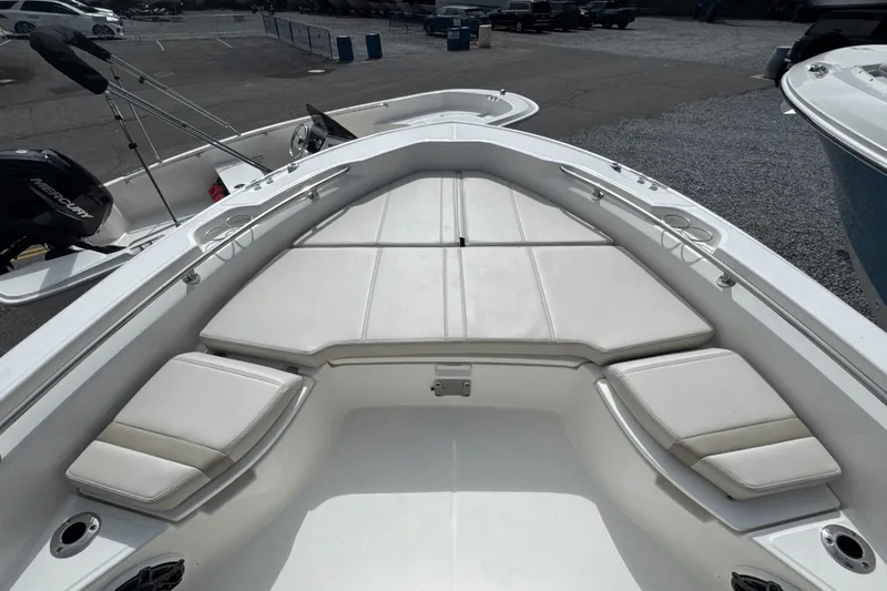 Slide: The Image of Boston Whaler 250 Dauntless 2026 - 33