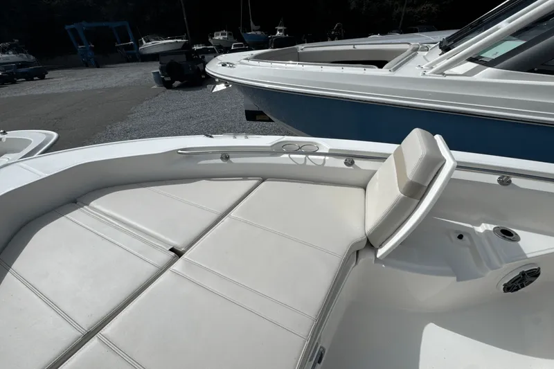 Slide: The Image of Boston Whaler 250 Dauntless 2026 - 34