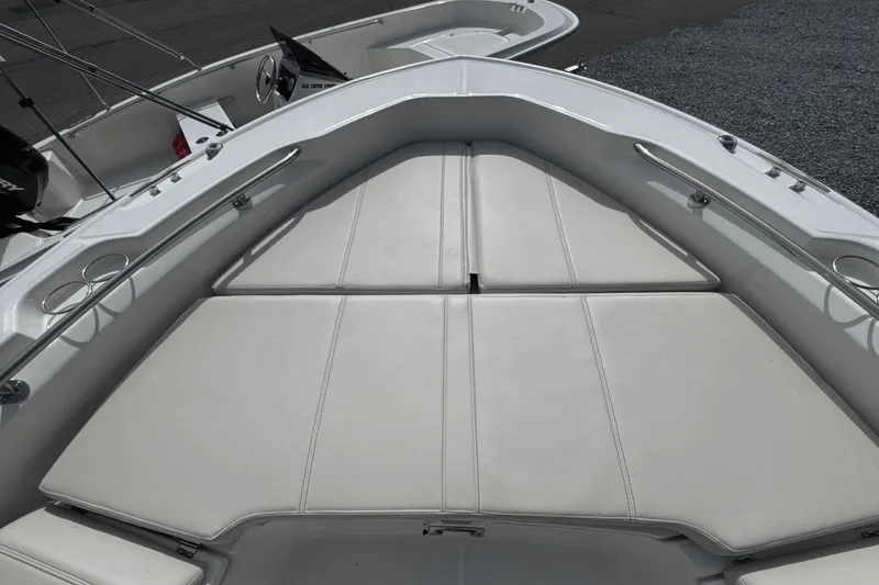 Slide: The Image of Boston Whaler 250 Dauntless 2026 - 35