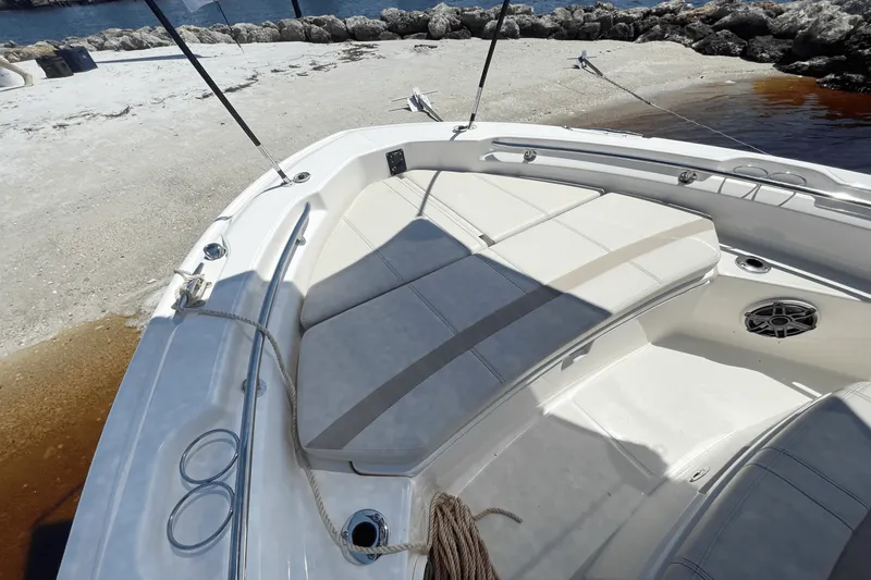Slide: The Image of Boston Whaler 220 Dauntless 2026 - 18