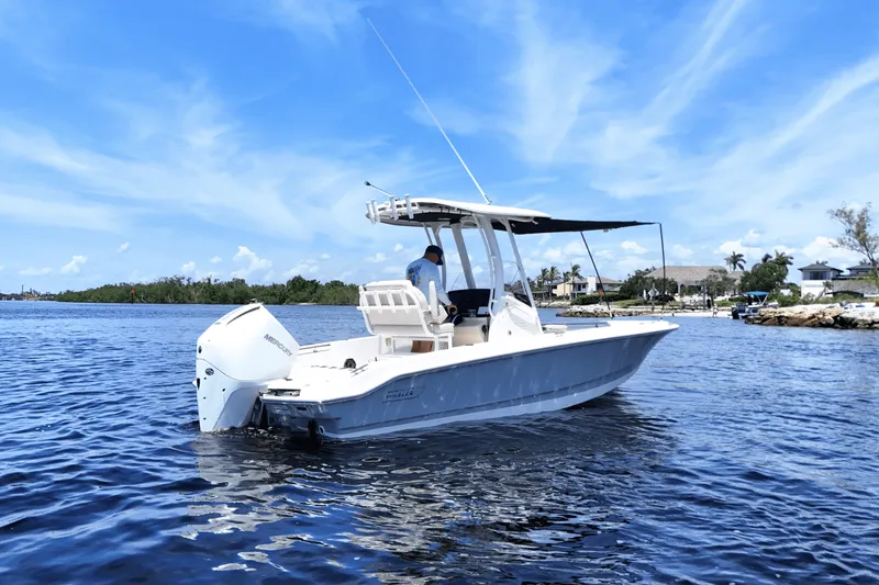 Slide: The Image of Boston Whaler 220 Dauntless 2026 - 3